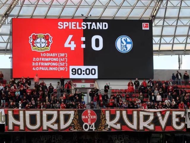 开云官网-沙尔克换不换帅都无解？当心升回德甲一年游